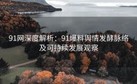 91网深度解析：91爆料舆情发酵脉络及可持续发展观察