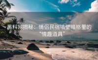 黑料网揭秘：情侣民宿墙壁暗格里的“情趣道具”