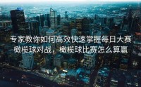 专家教你如何高效快速掌握每日大赛橄榄球对战，橄榄球比赛怎么算赢