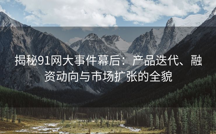 揭秘91网大事件幕后:产品迭代、融资动向与市场扩张的全貌 揭秘91网大事件幕后:产品迭代、融资动向与市场扩张的全貌